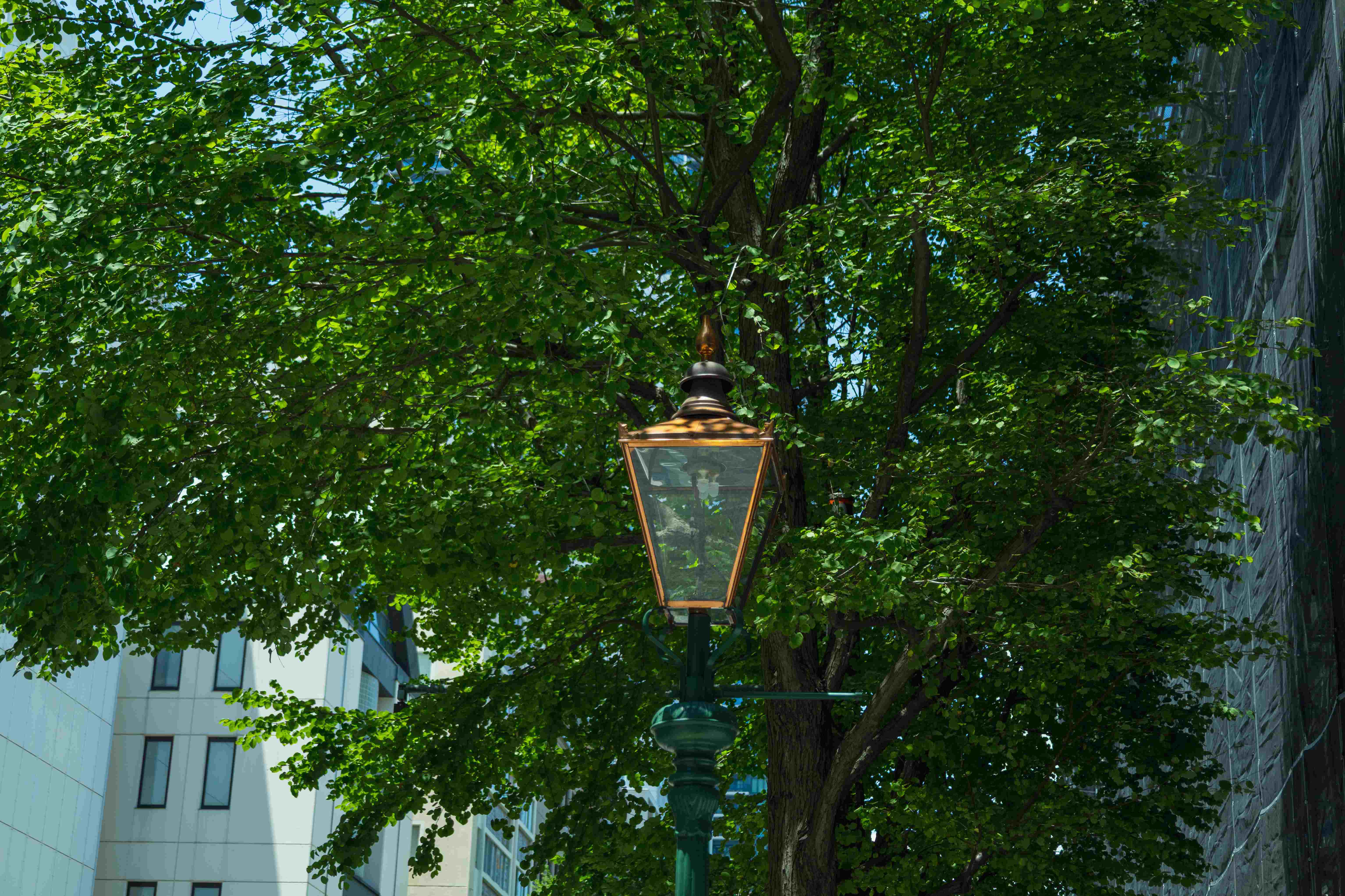 2026-07-20_114401_Canon EOS RP.jpg