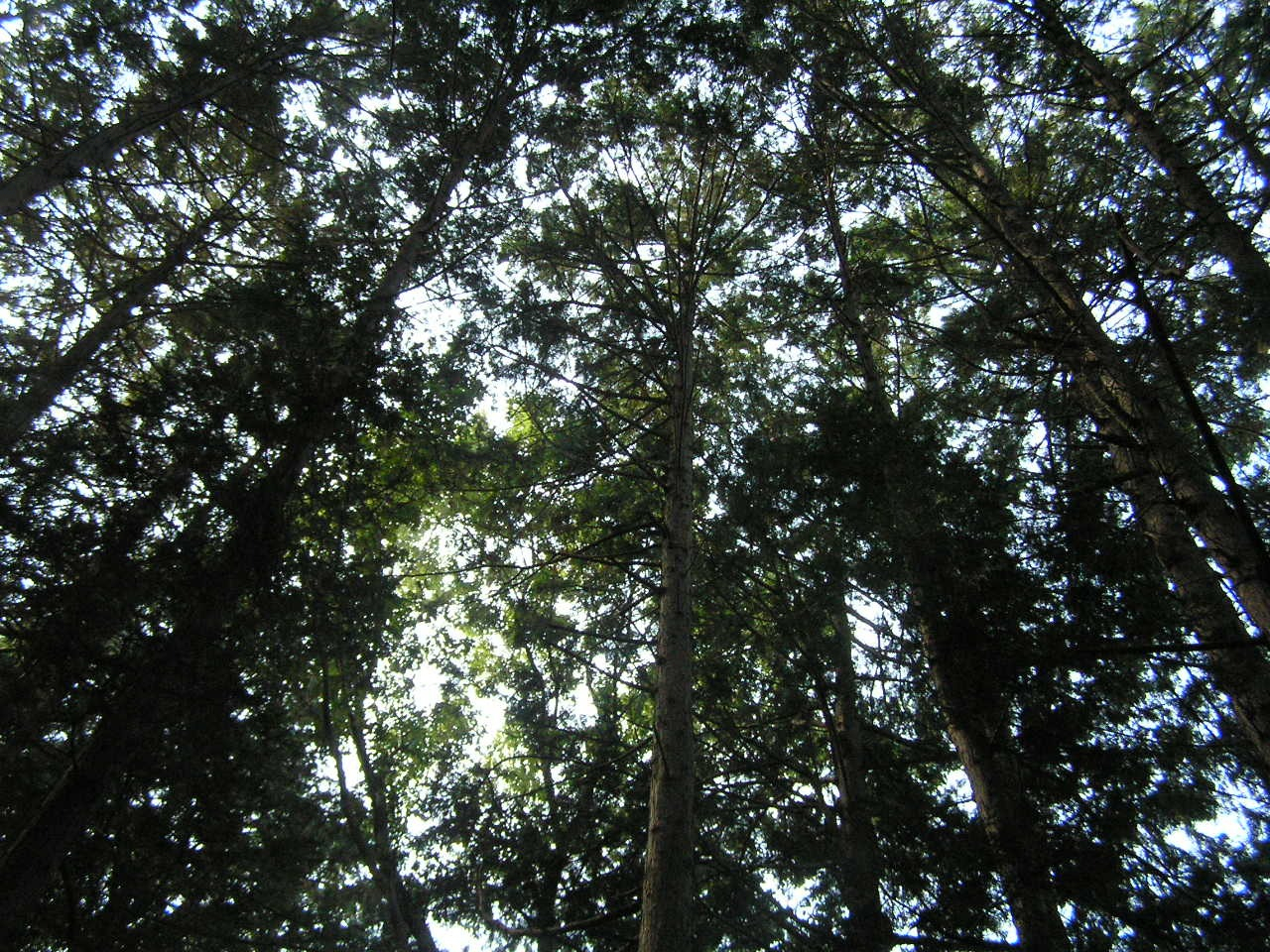 PA260049.JPG
