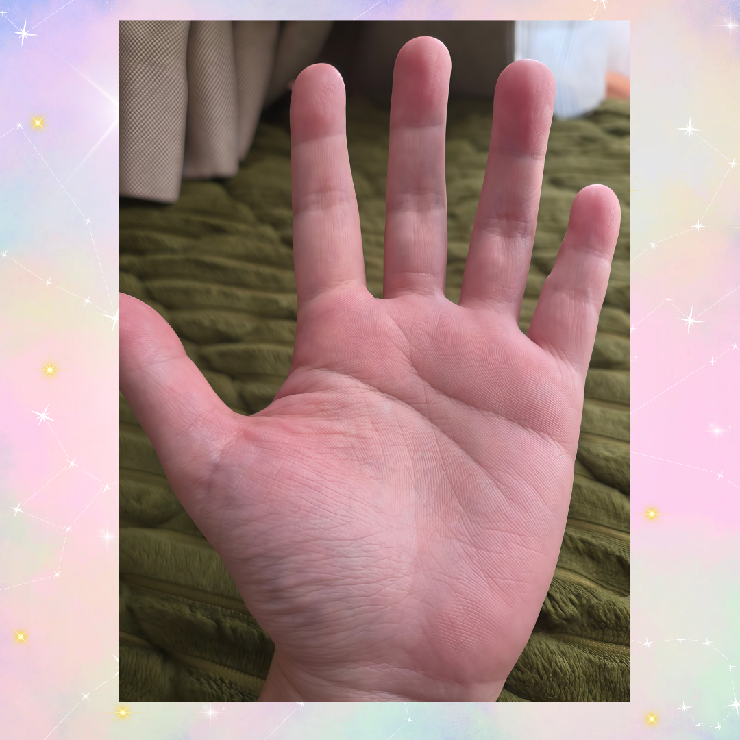 1000041235.png