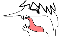 lnoshita.png