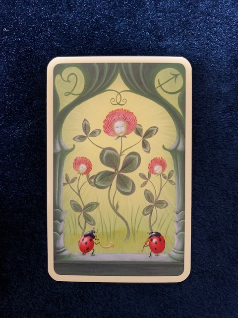 IMG_6651.jpg