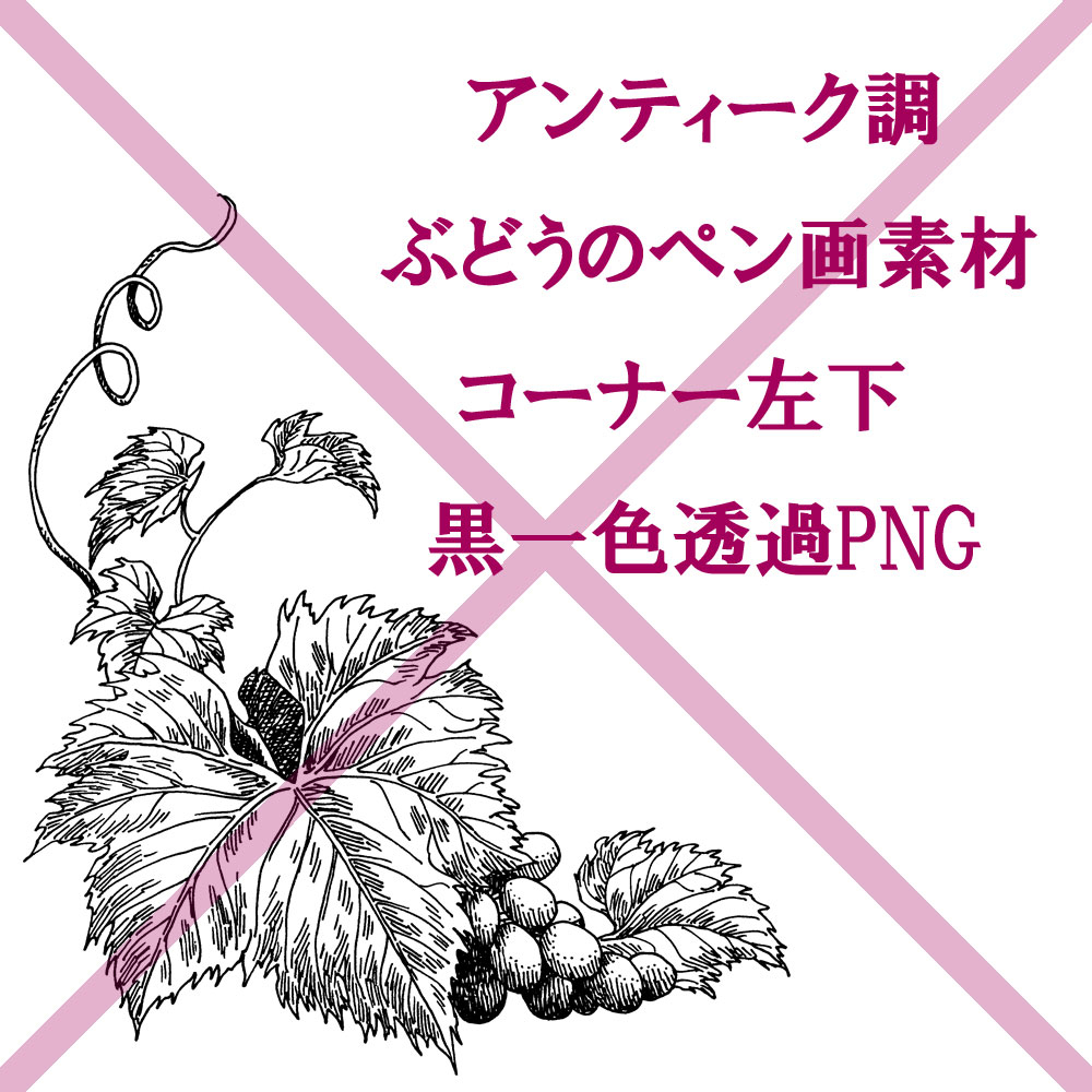 見本画像＿ぶどうフレームパーツ素材左下.jpg