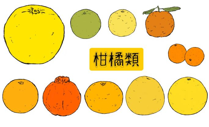 みかん　小.jpg
