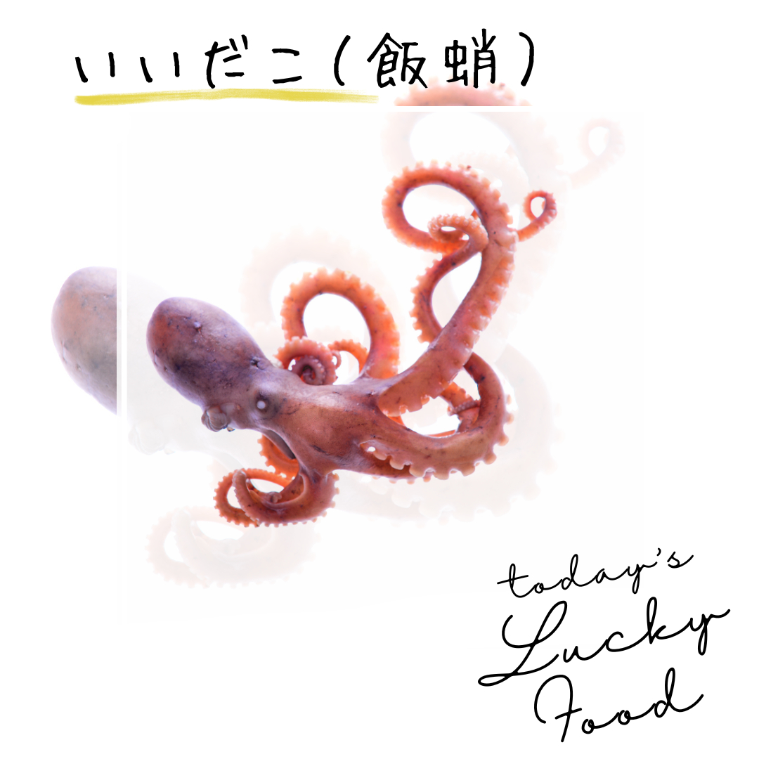 いいだこ.png