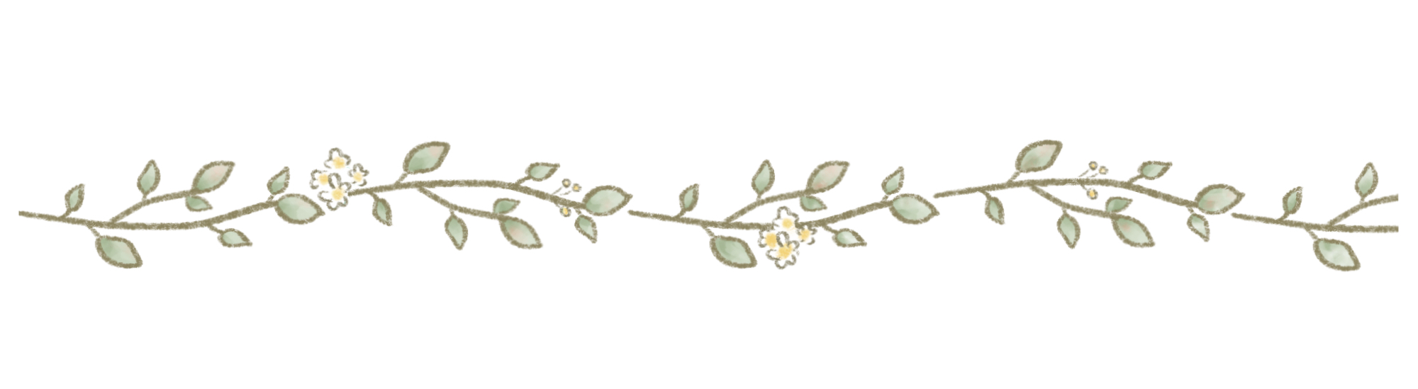 IMG_6206.png