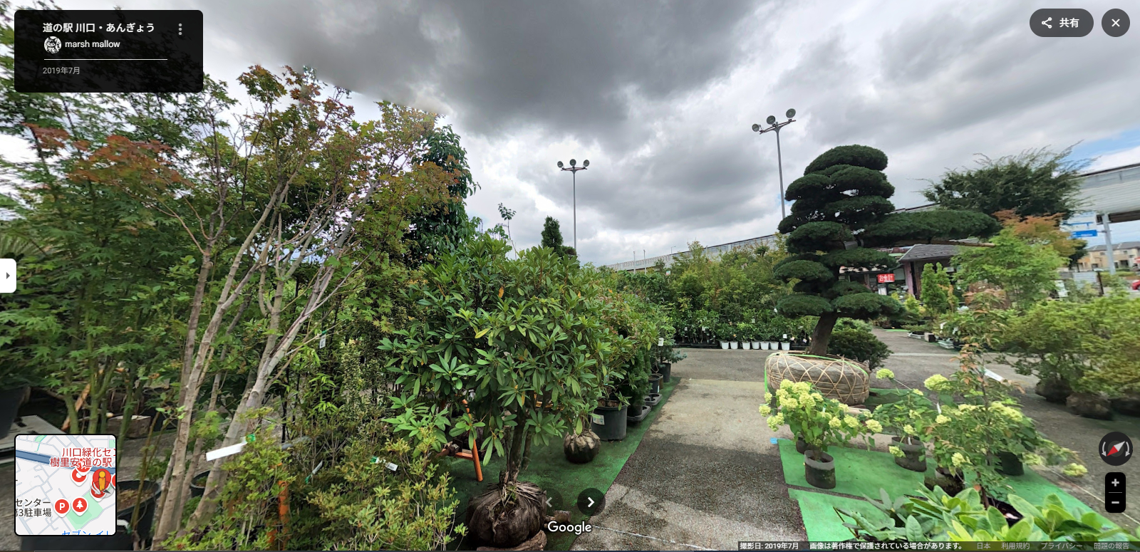 安行地区-8.PNG