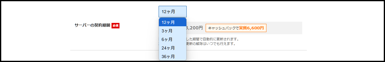 月数選択.png