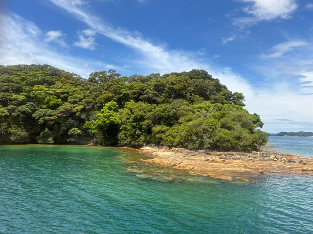 IMG_9408.jpeg