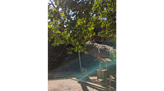 ブログ　2024033 (13).jpg