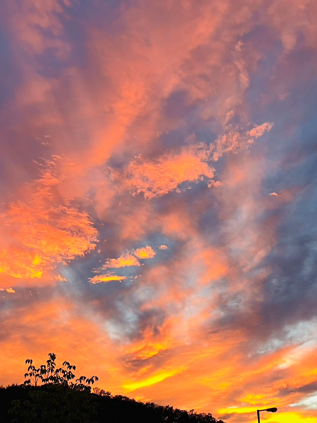 S__129556493_0.jpg