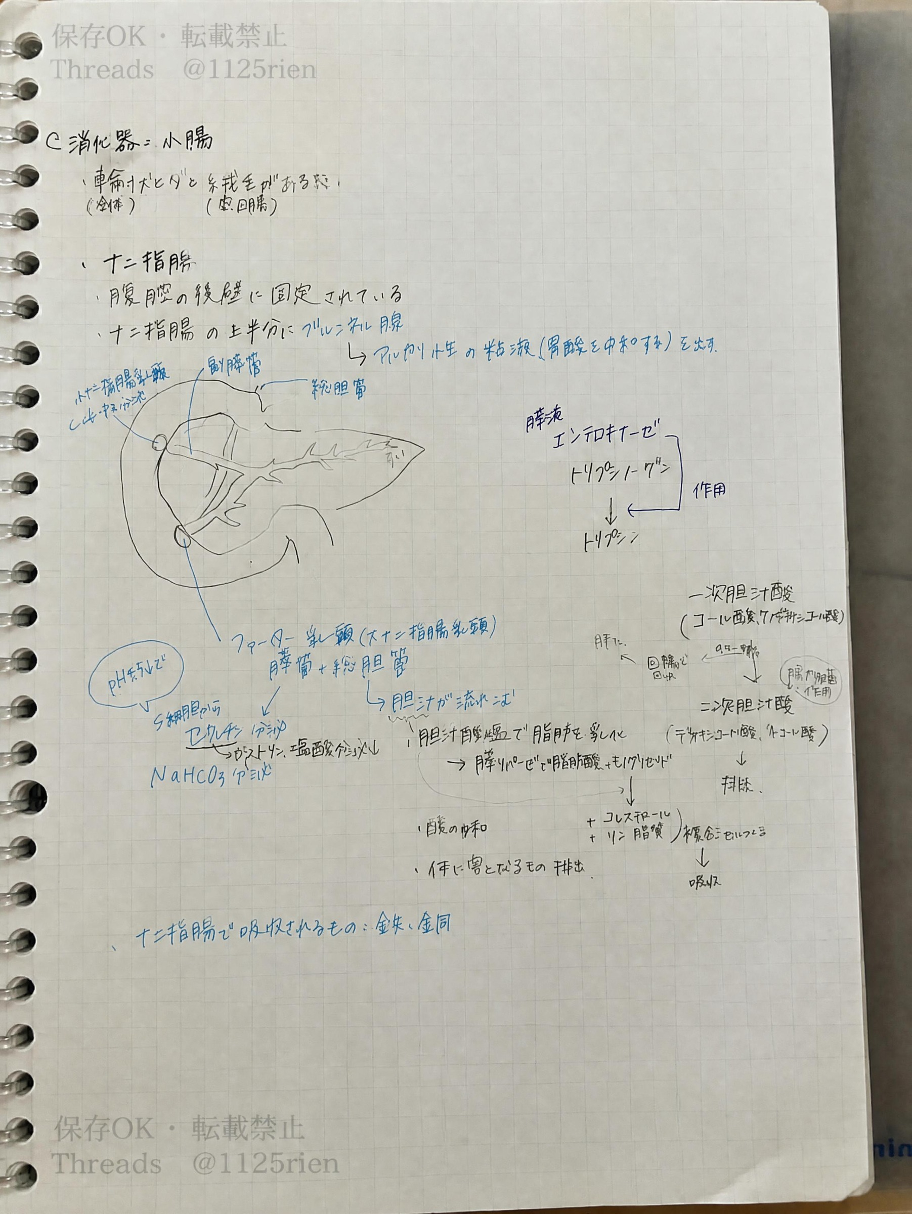 Canva AIによる画像：2026年10月8日 12_17_21.jpg
