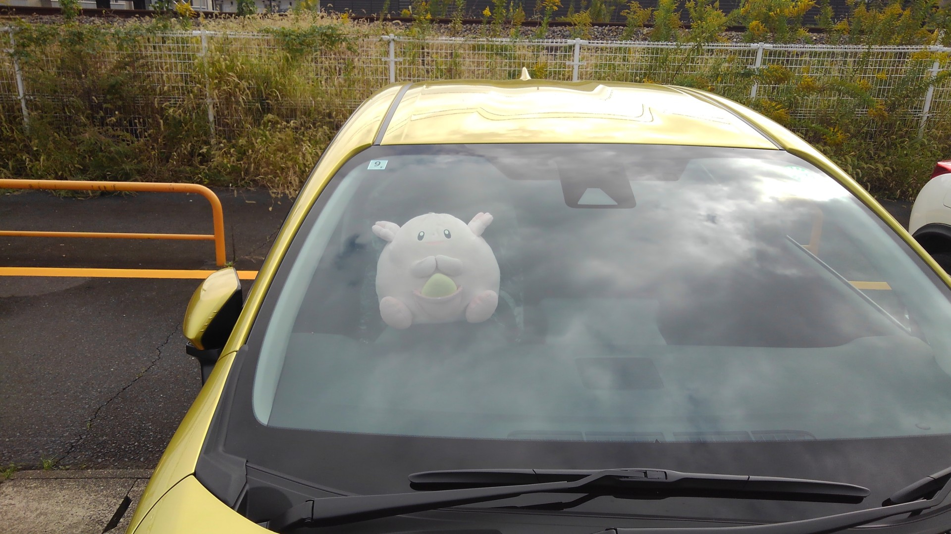 付きポケモン.jpg