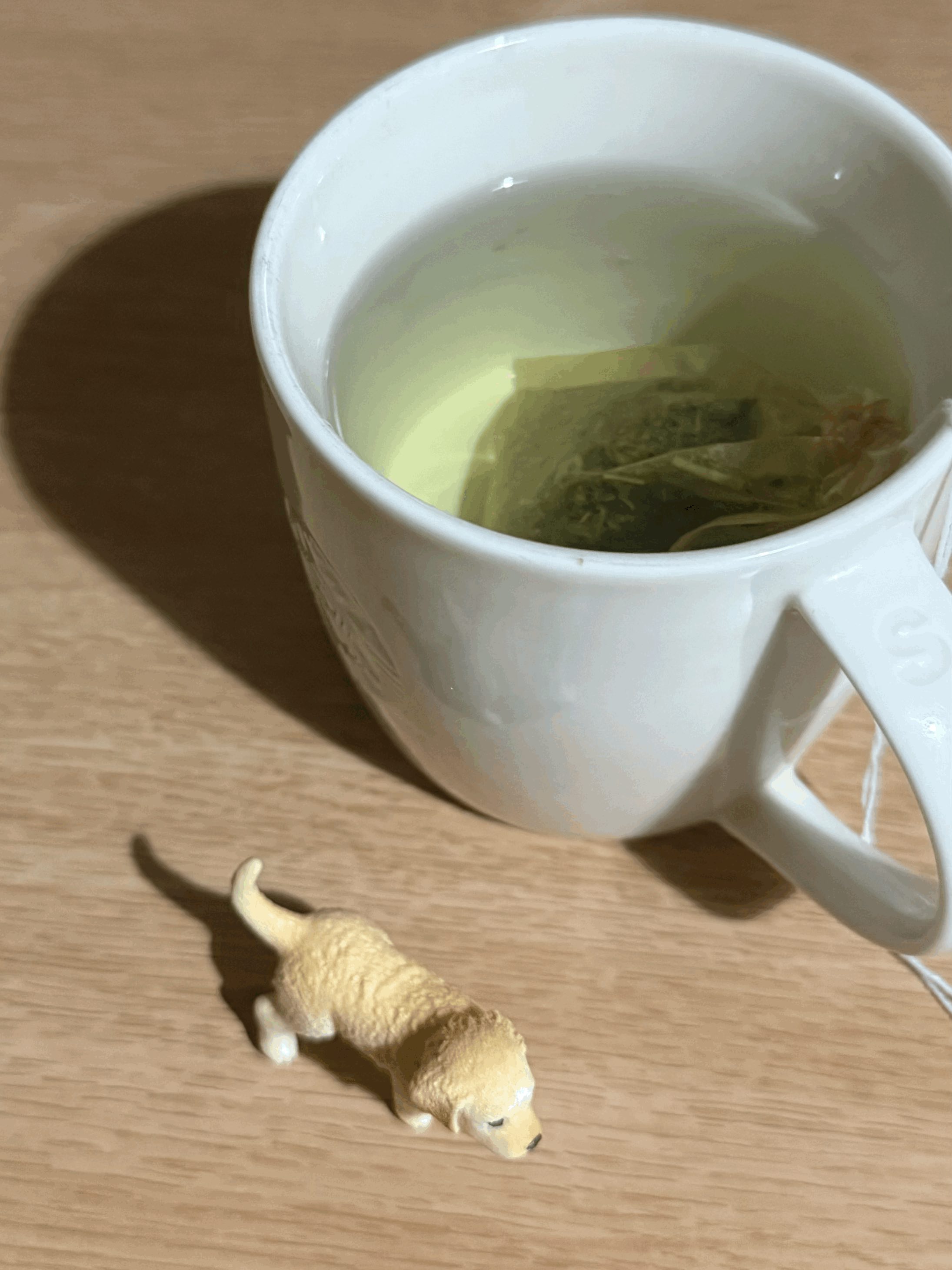 tempImageN6nzlK.gif