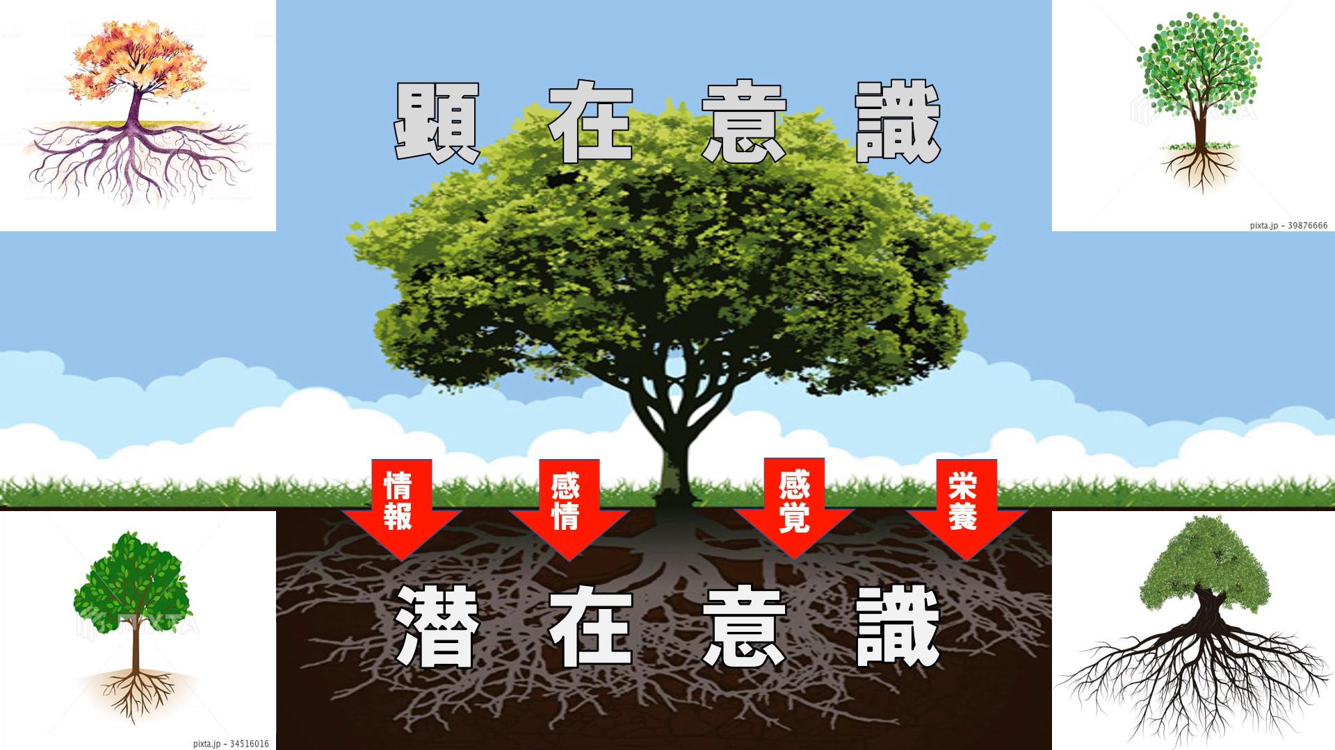 大木.jpg