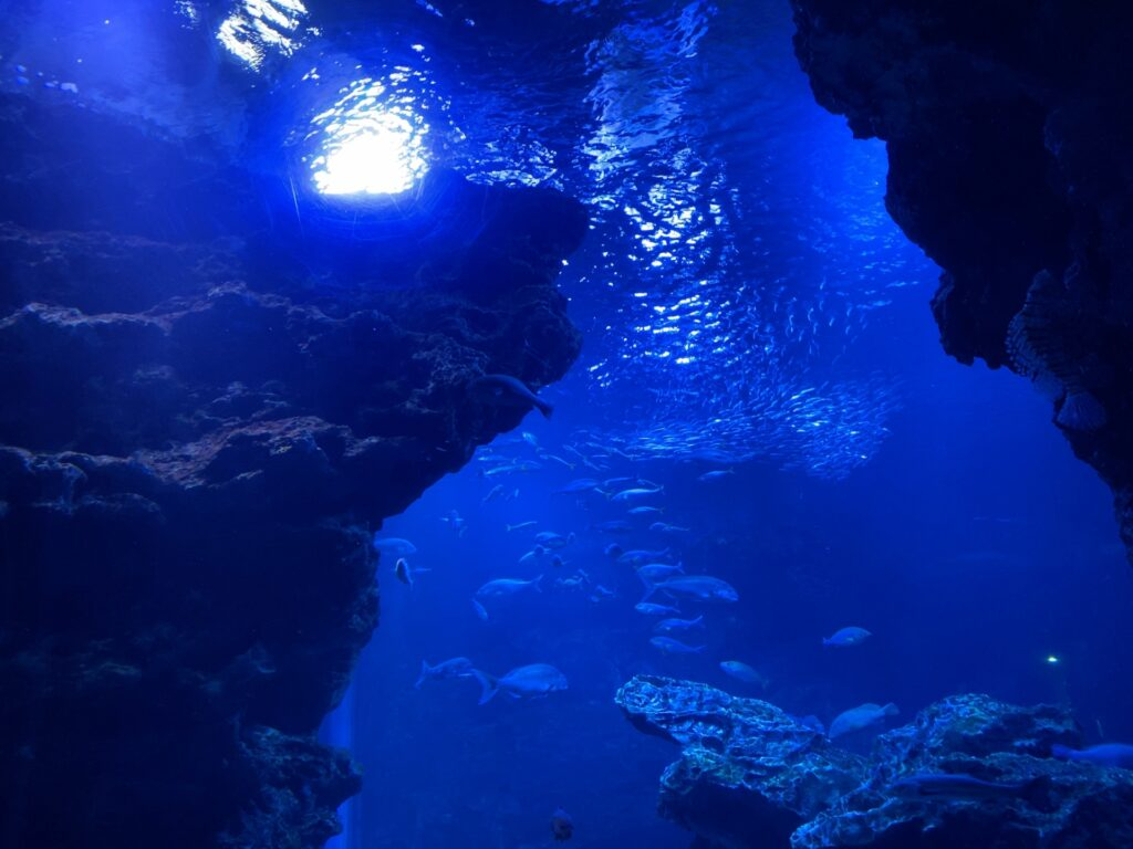 海.jpg