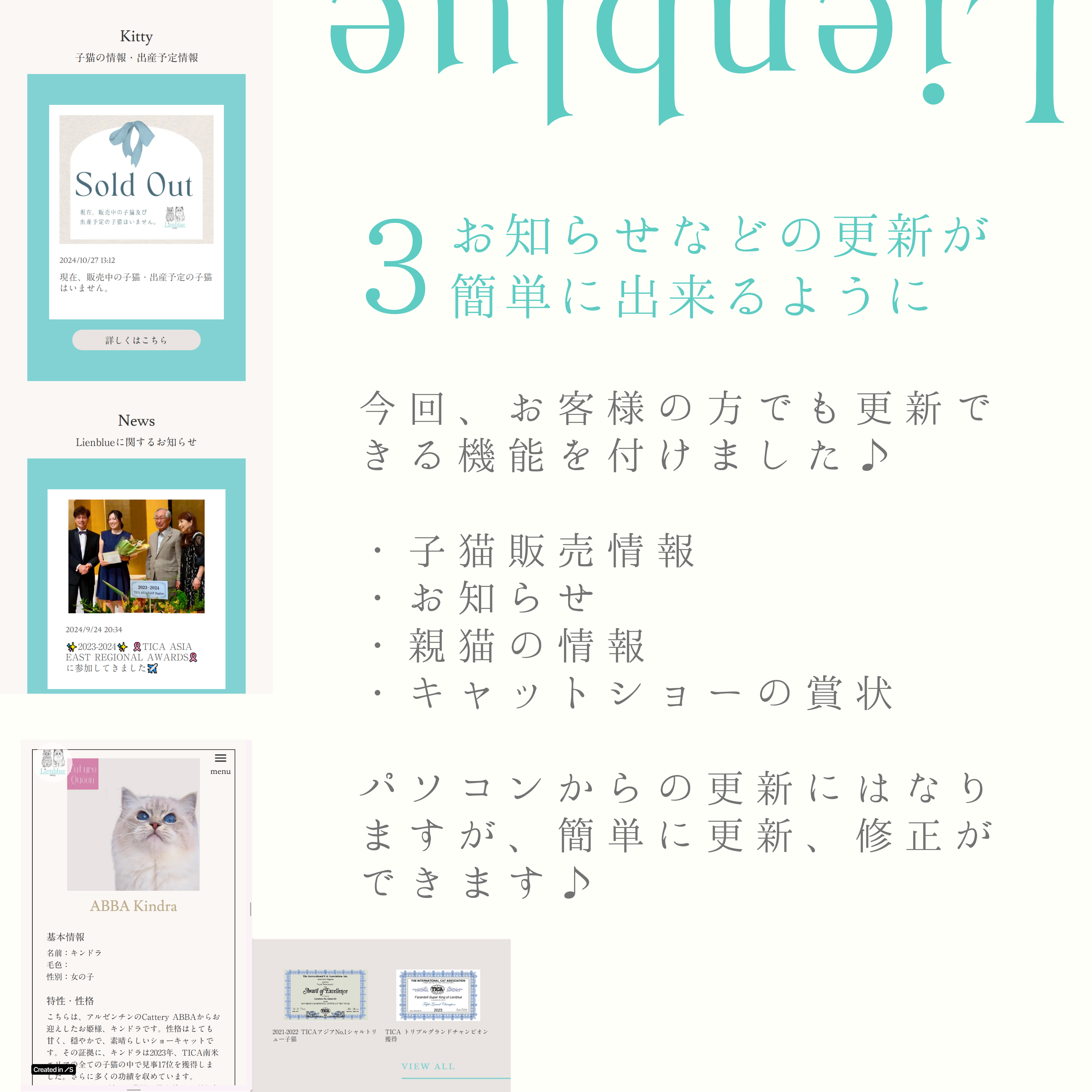 7.png
