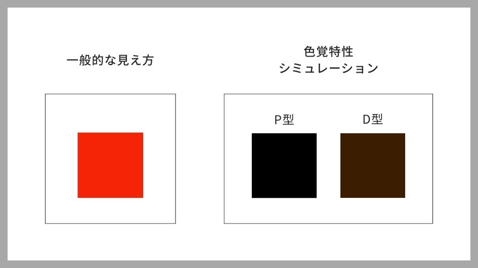 色覚特性.jpg