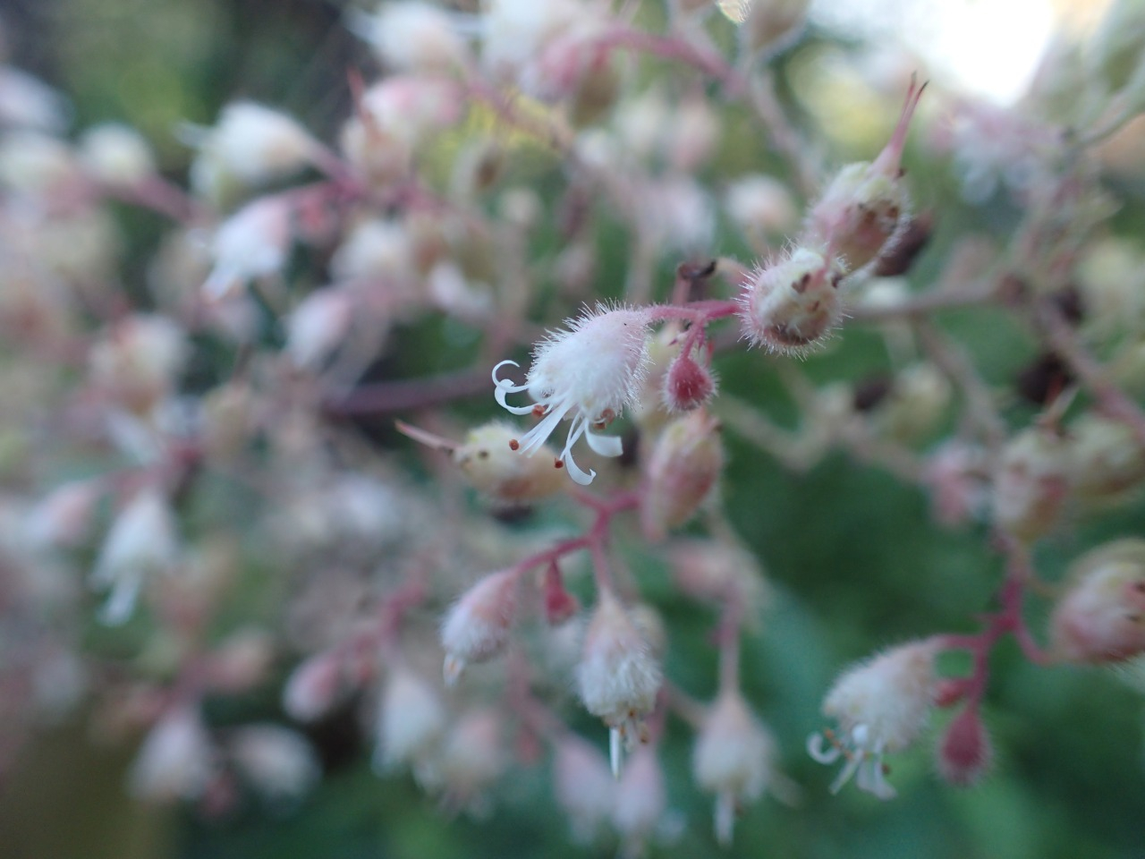 PB010920.JPG