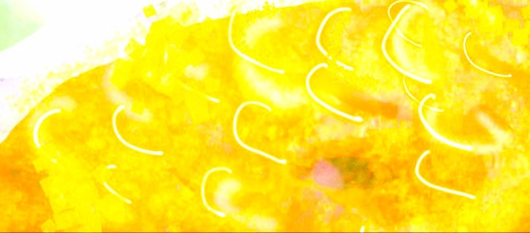 _20260213_08184822255666.JPG