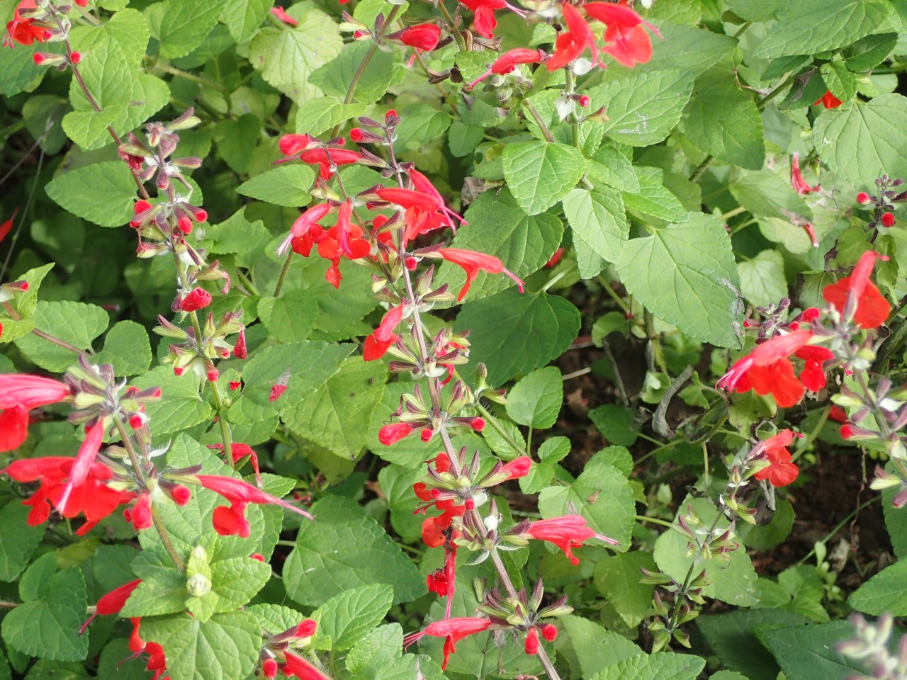 PB010082.JPG