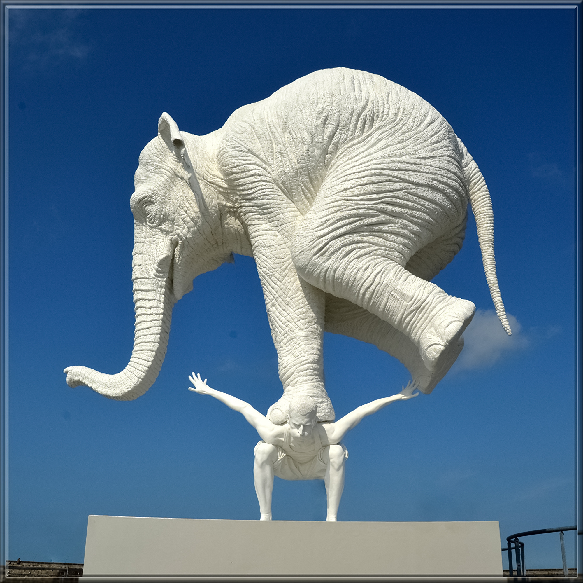elephant-3891845.jpg