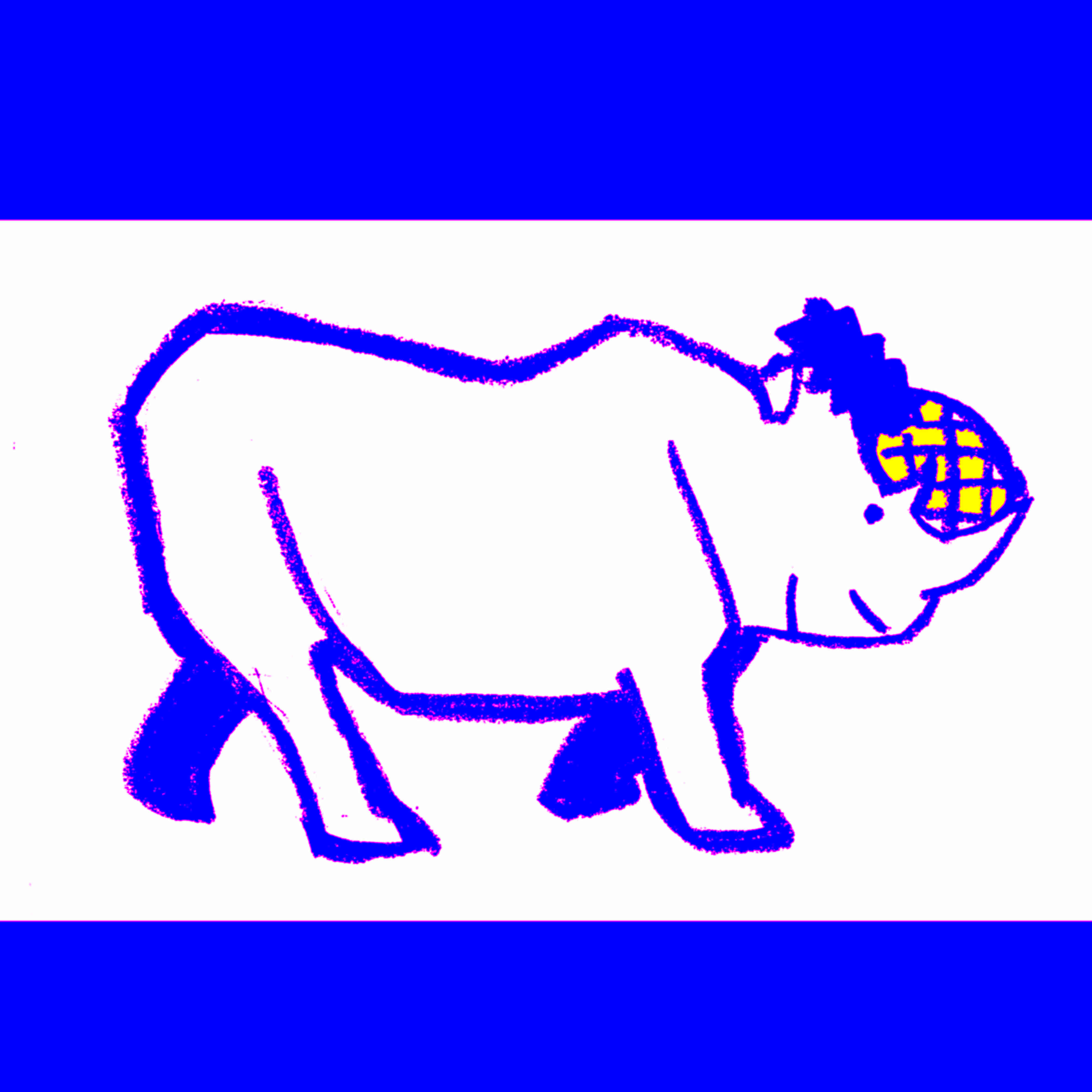 サイ.jpg