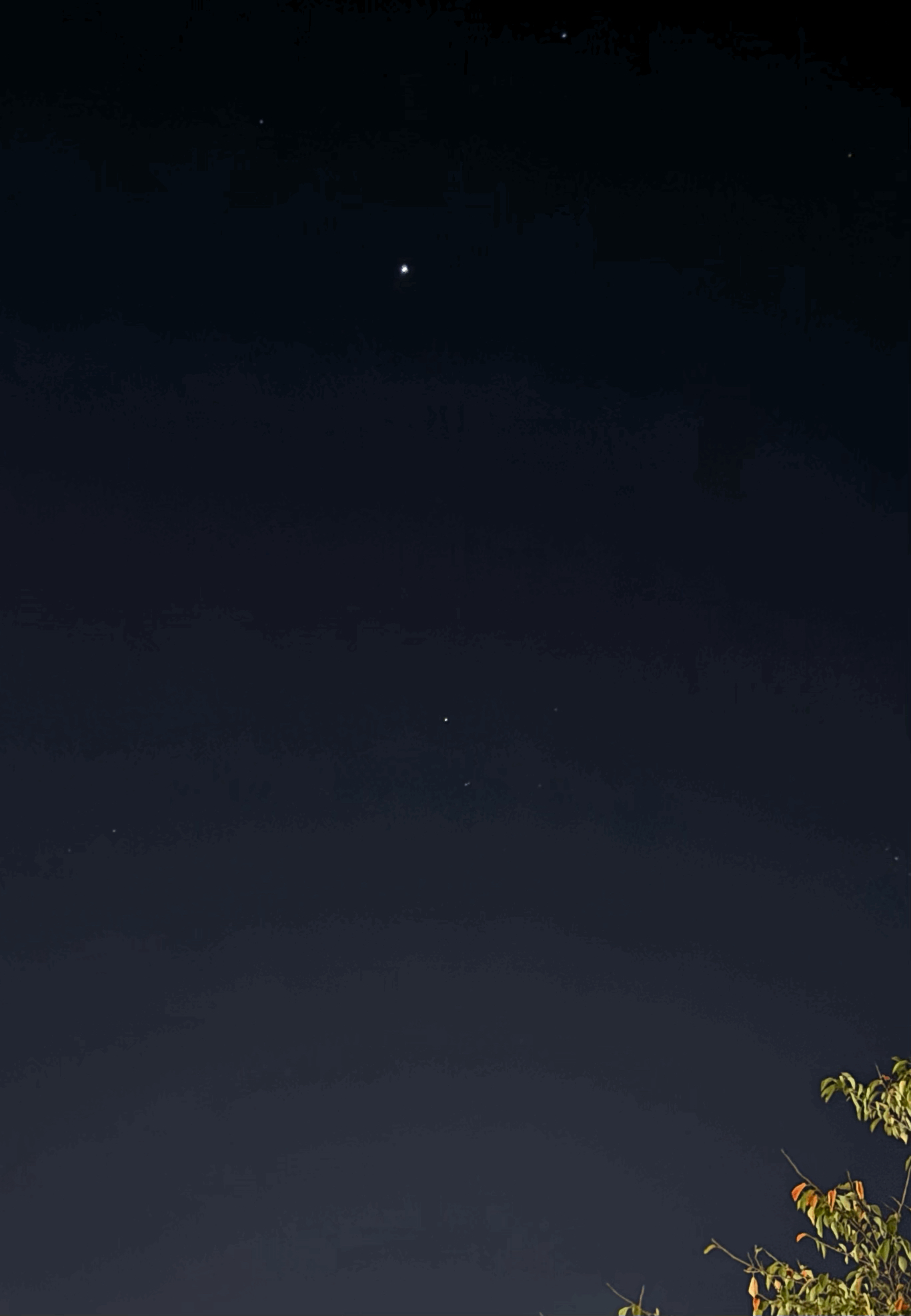 tempImageD9hIZG.gif