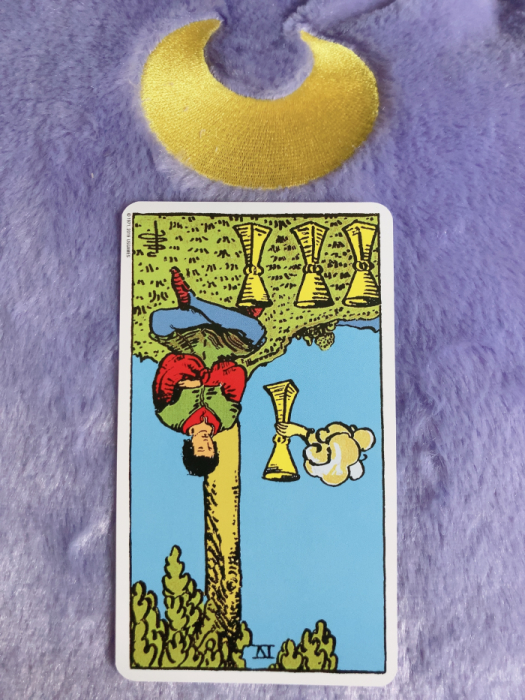 IMG_1498_2.png