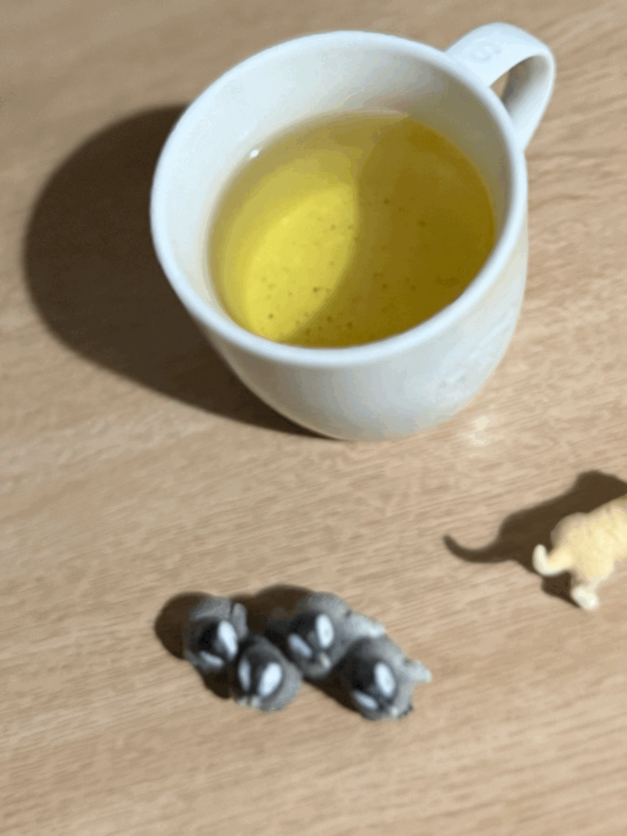 tempImagePMShEx.gif