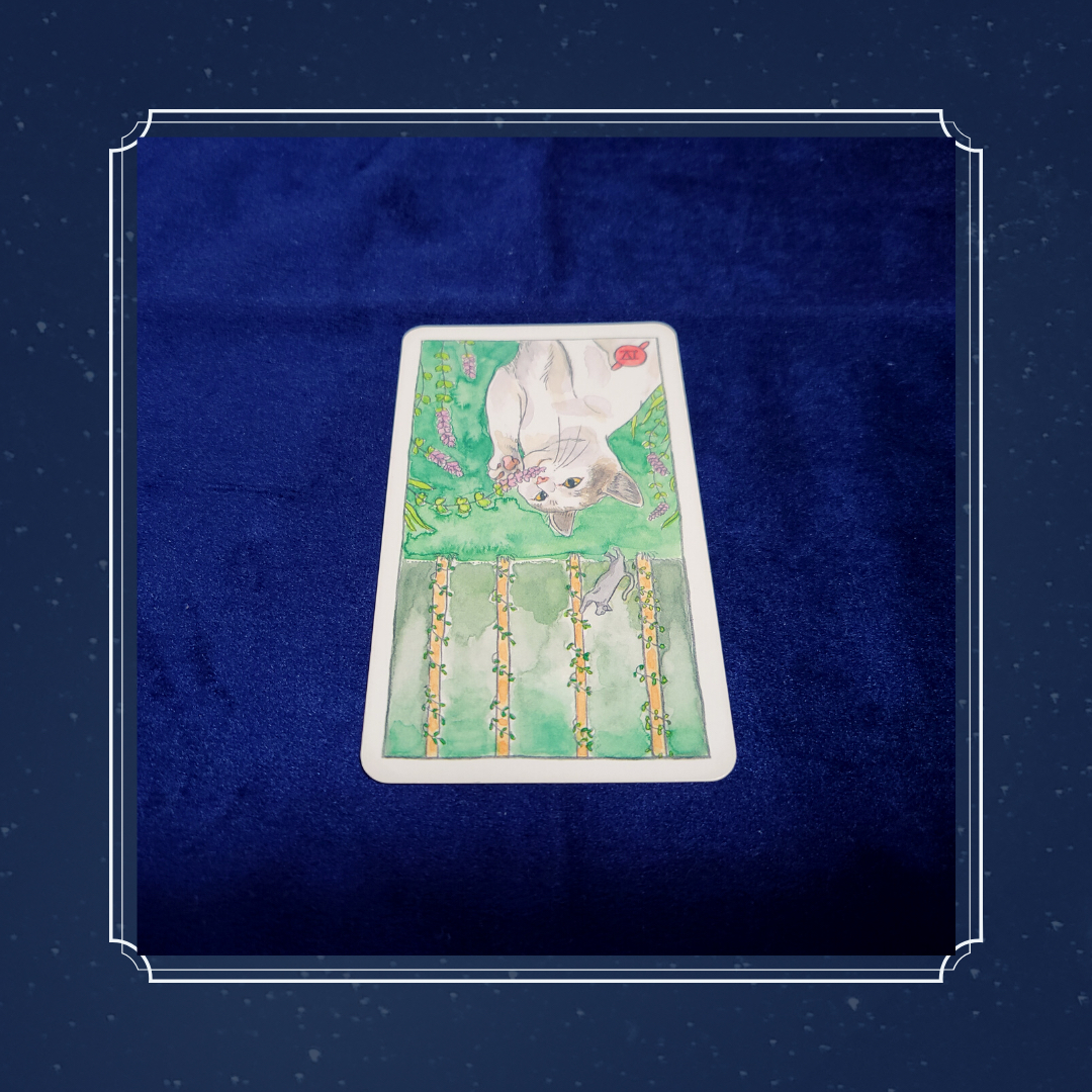 18 心穏やかにリラックスして過ごすためには を大切に 占い師ちろる Coconalaブログ