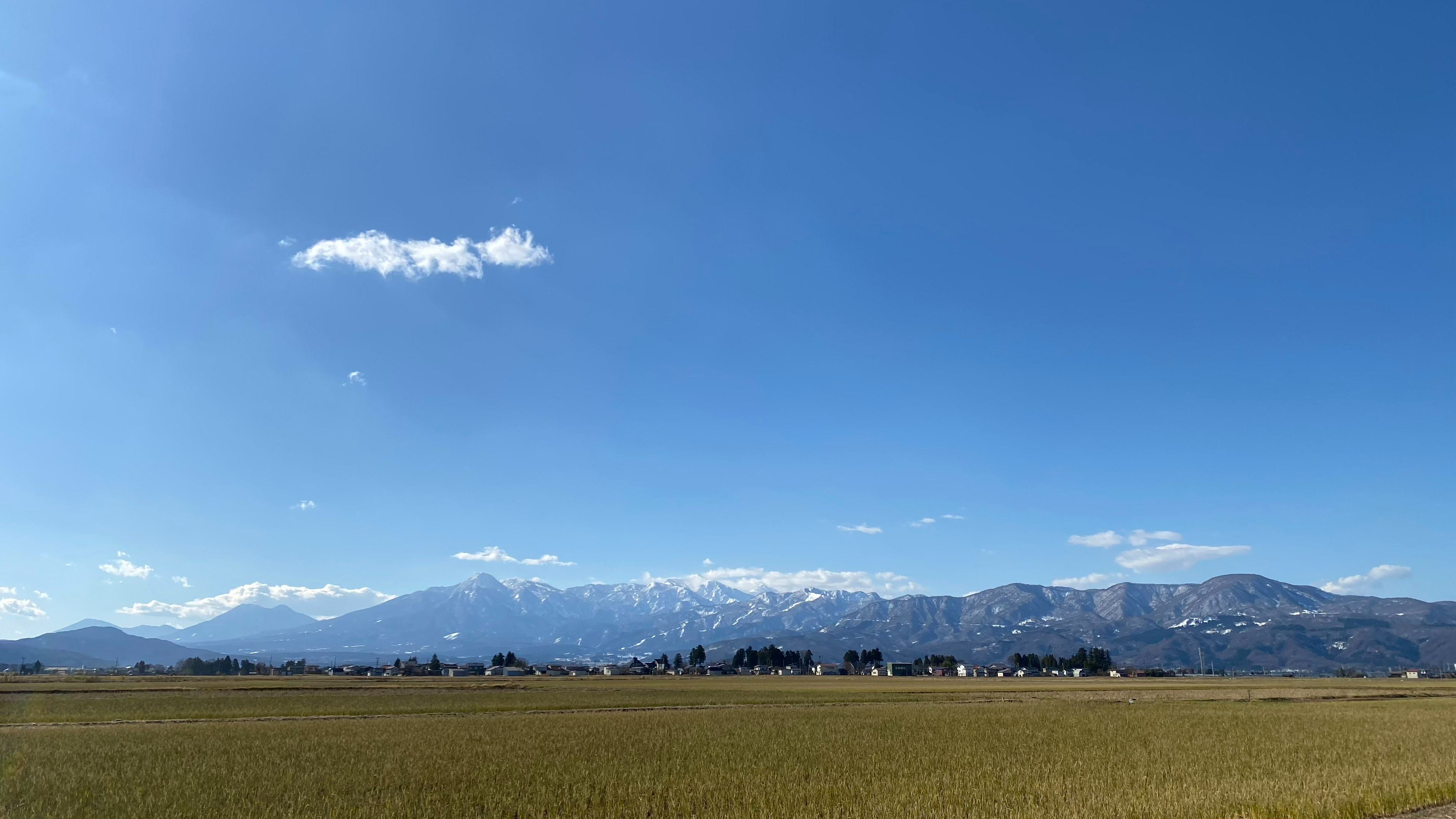 IMG_5023.jpeg