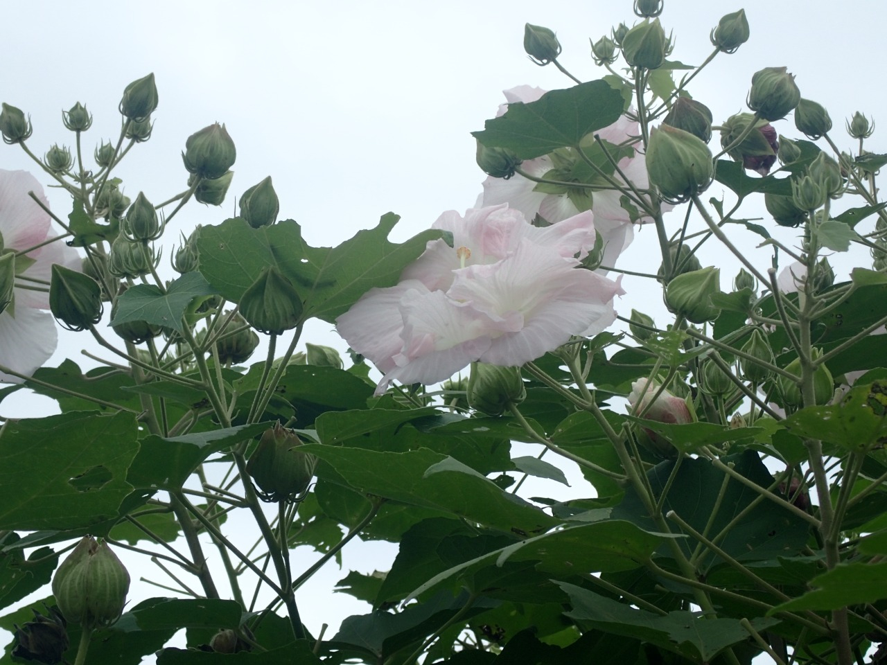 P9301055.JPG