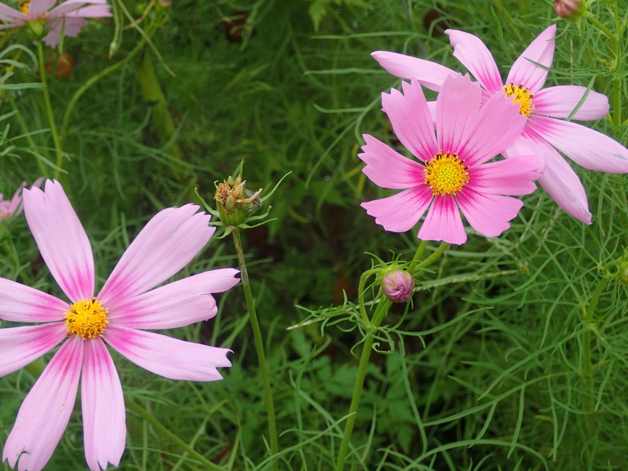 P9200011.JPG