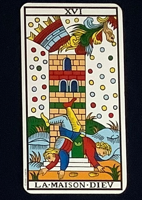 20230610-9.jpg