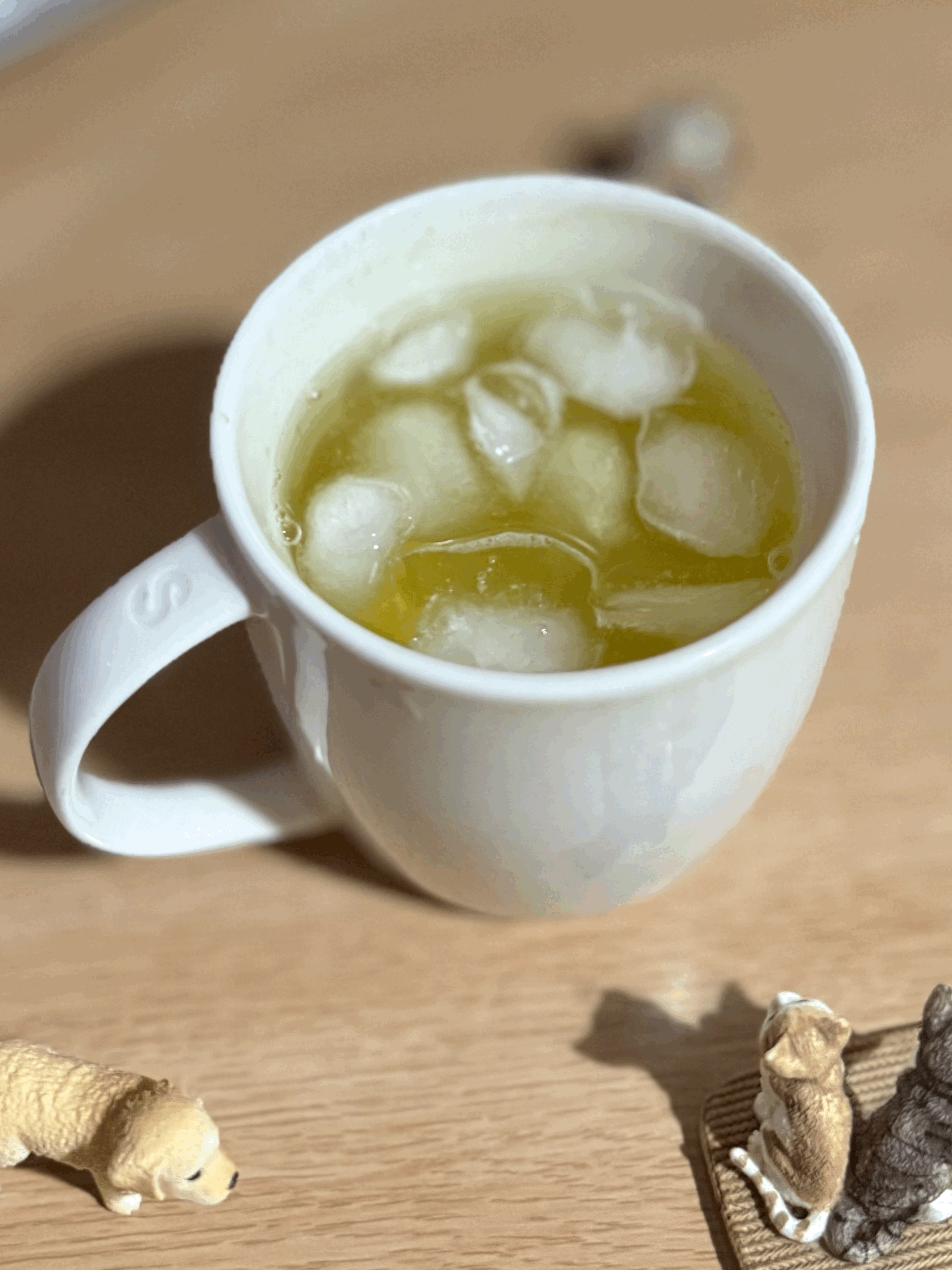 tempImagecosO5C.gif