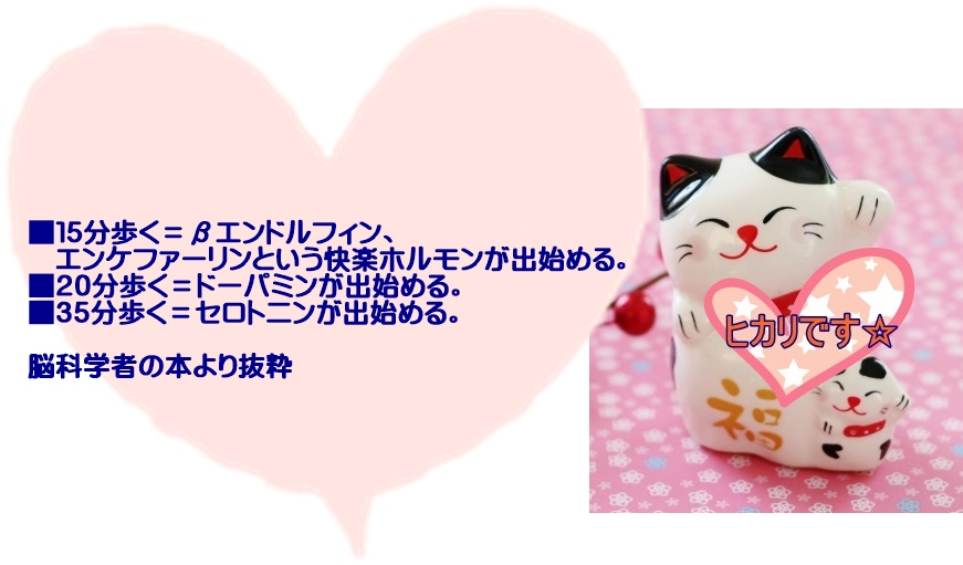 ホルモンの表記.jpg