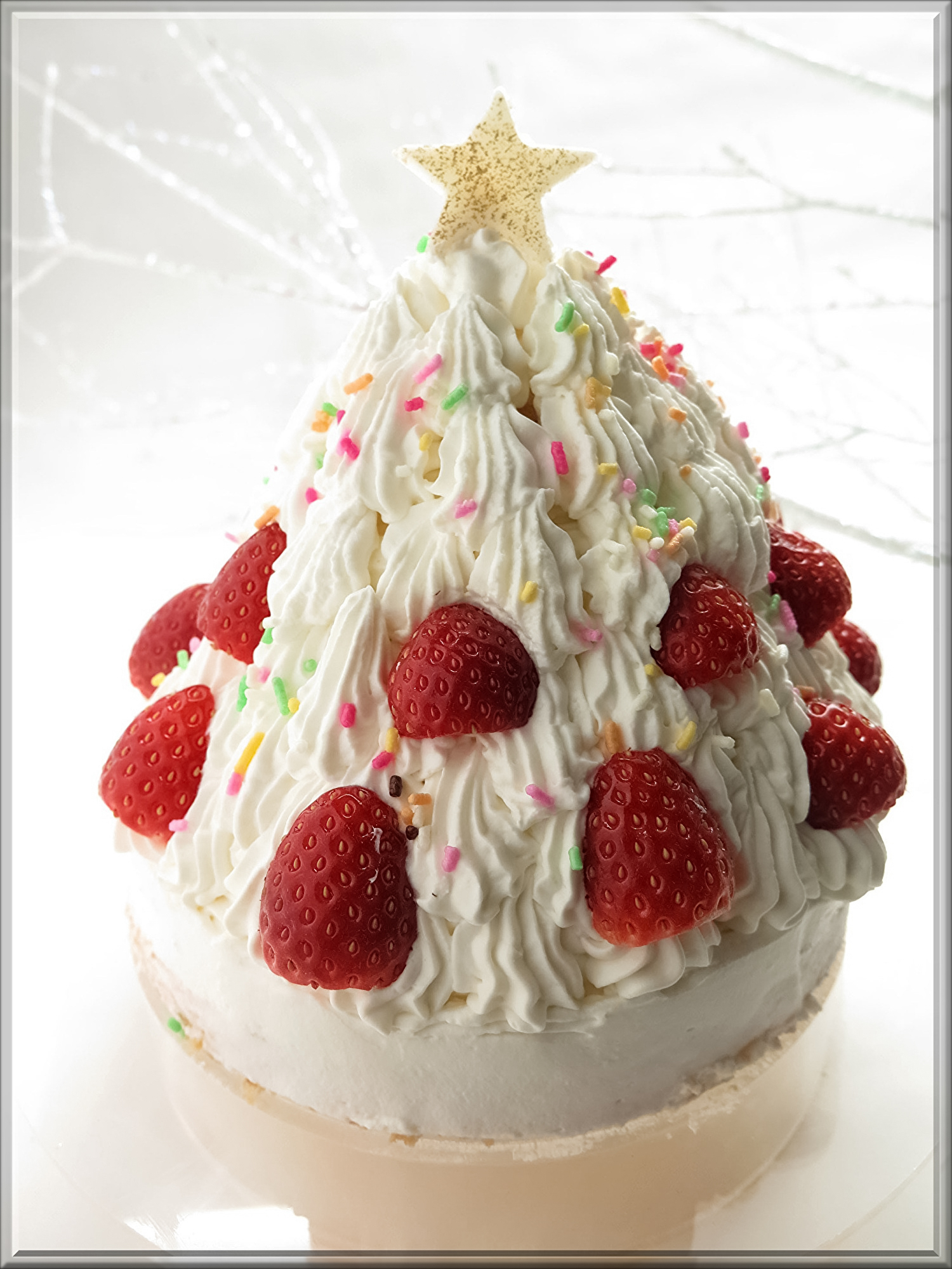christmas-1065578.jpg