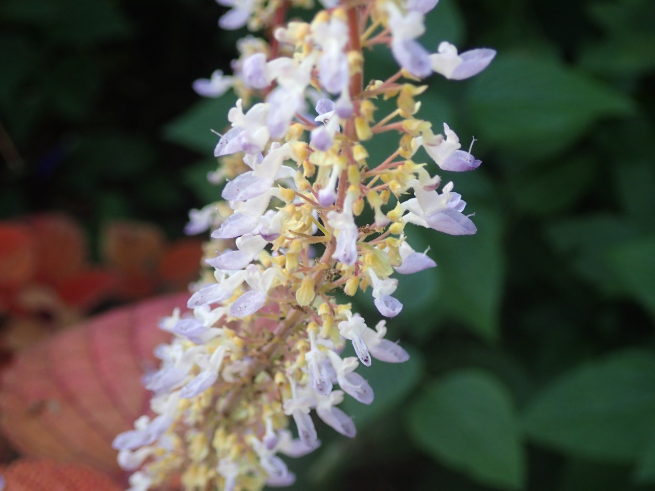 PB171341.JPG