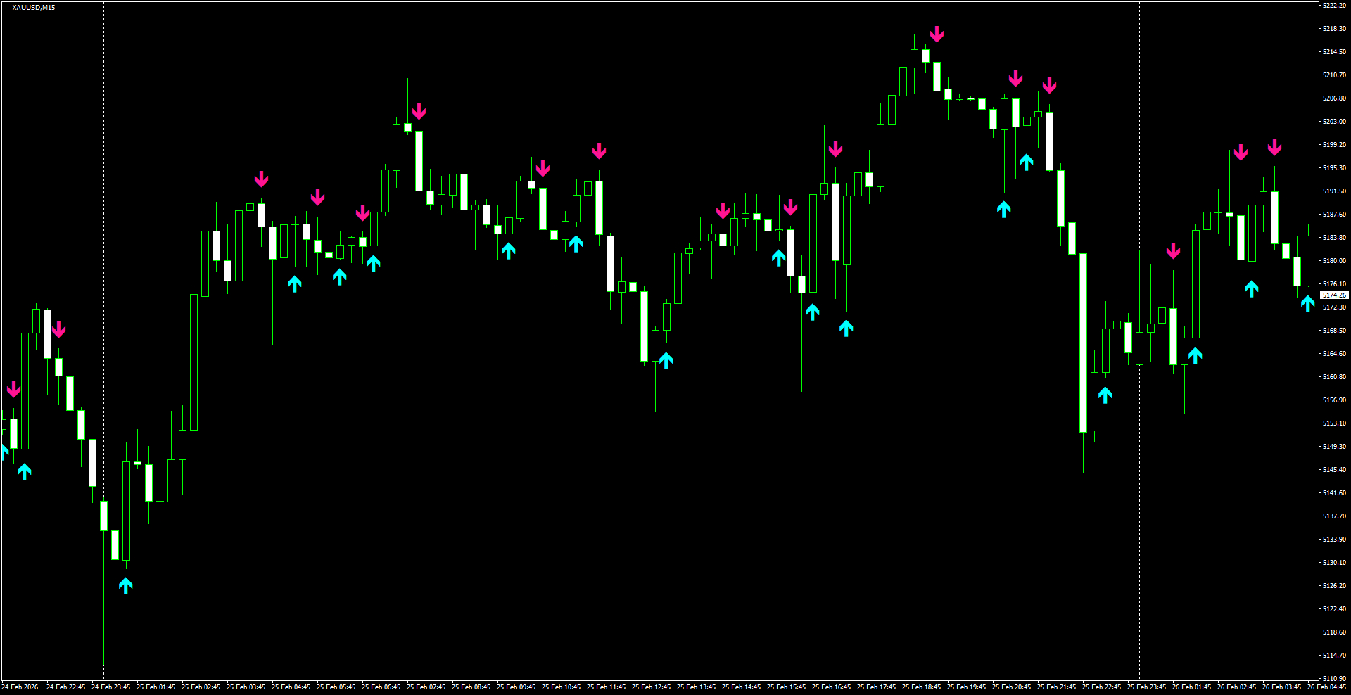 XAUUSD(M15)_2026.02.26_200539.png