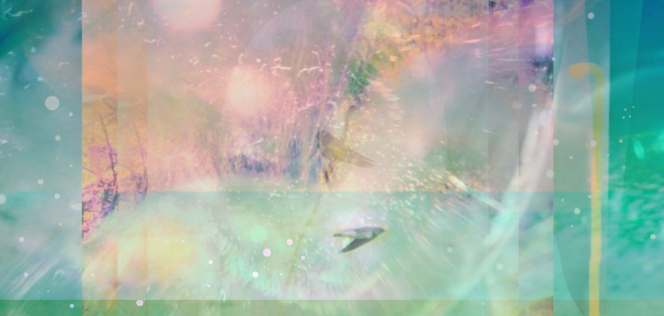 sketch-1665204940511.png