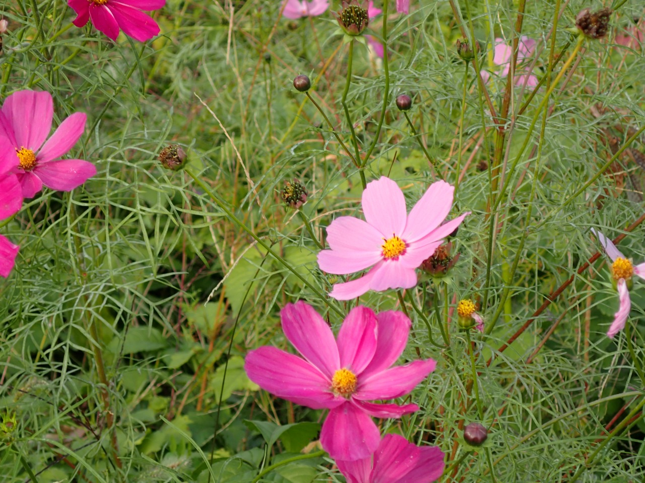 PB080089.JPG