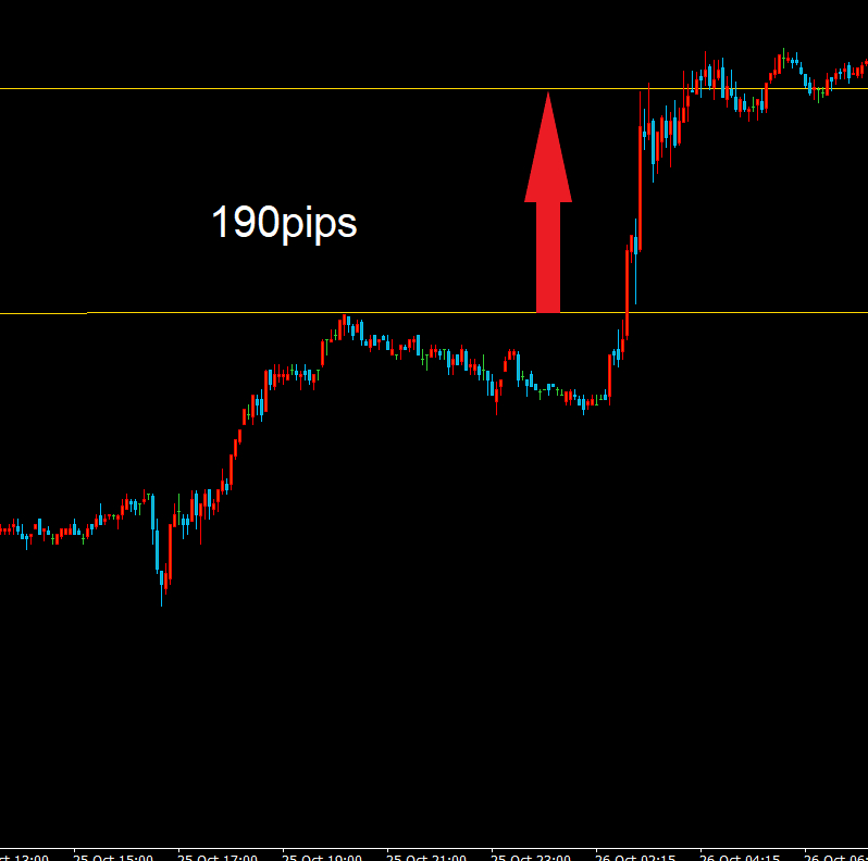 スクリーンショット (235).png