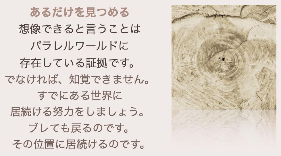 スクリーンショット 2024-08-11 20.40.09.png