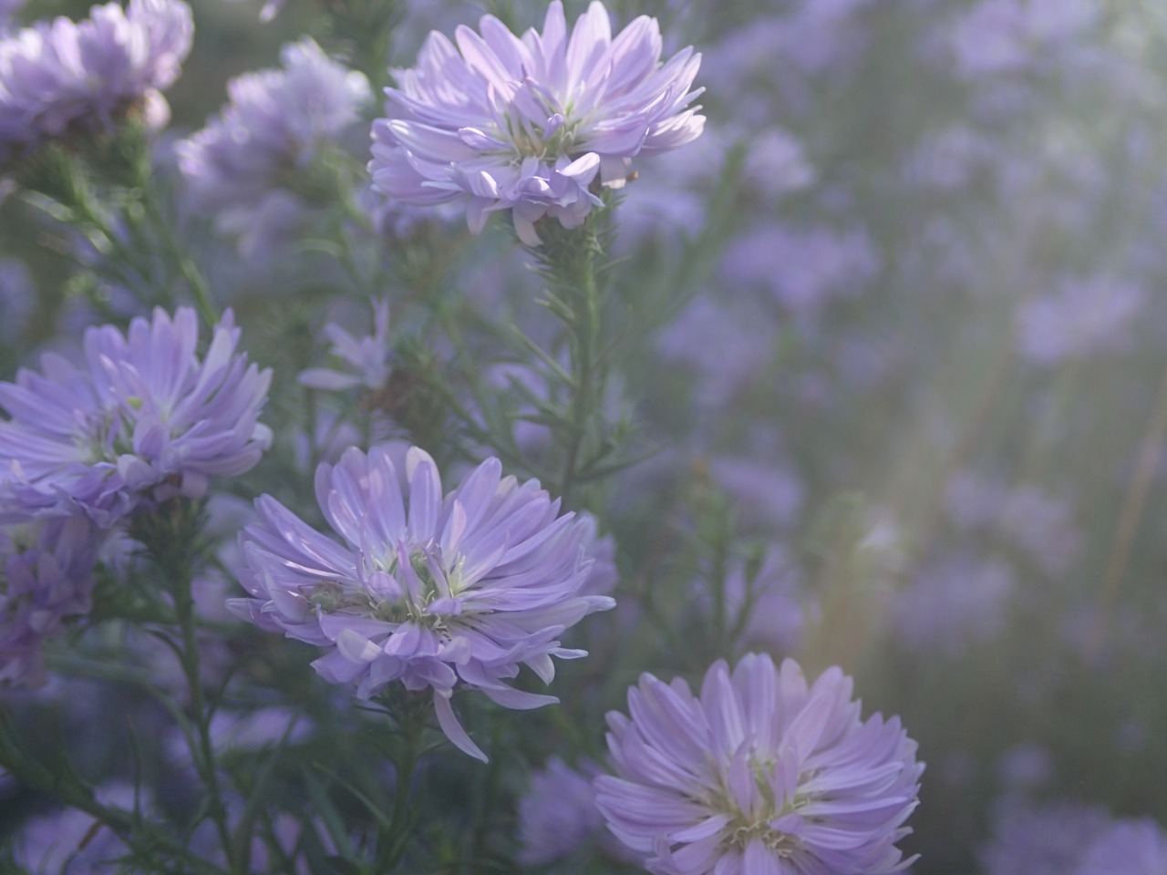 PB170072.JPG
