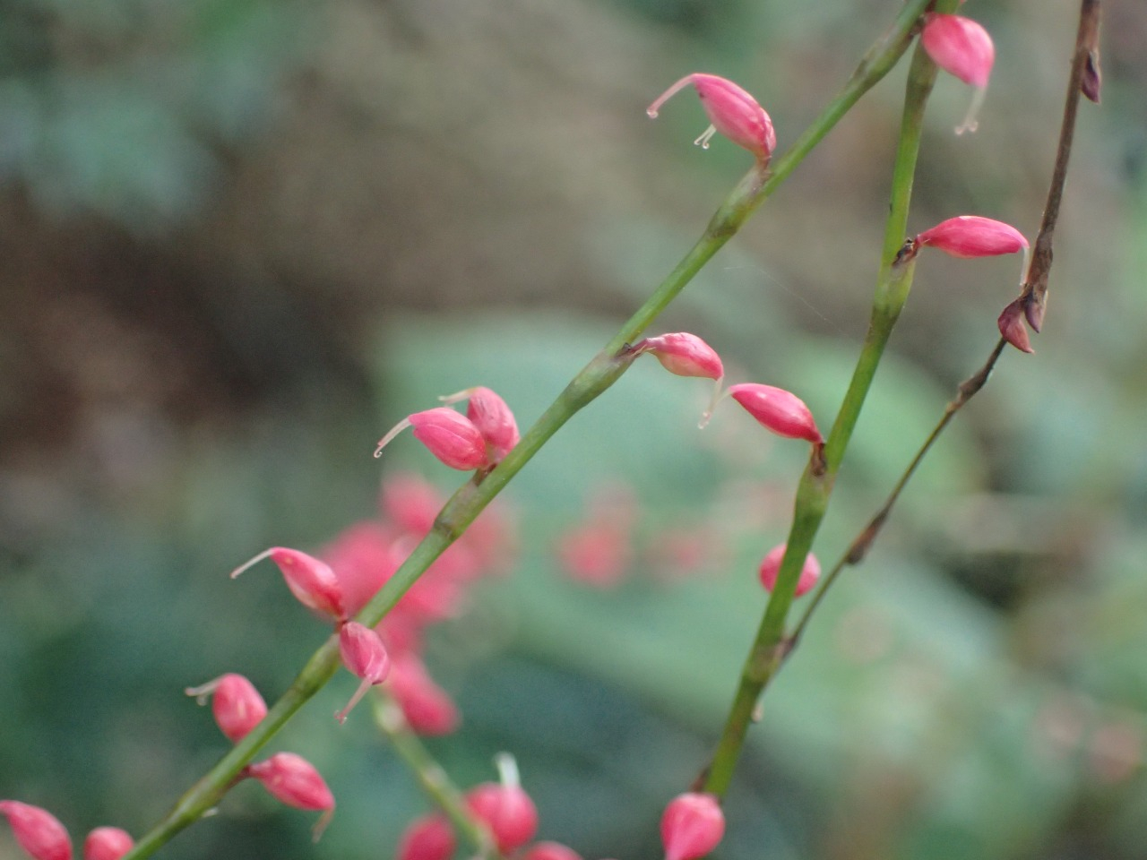 PB010818.JPG