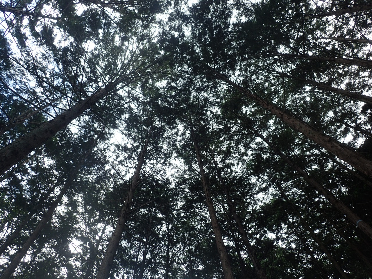 P7220599.JPG