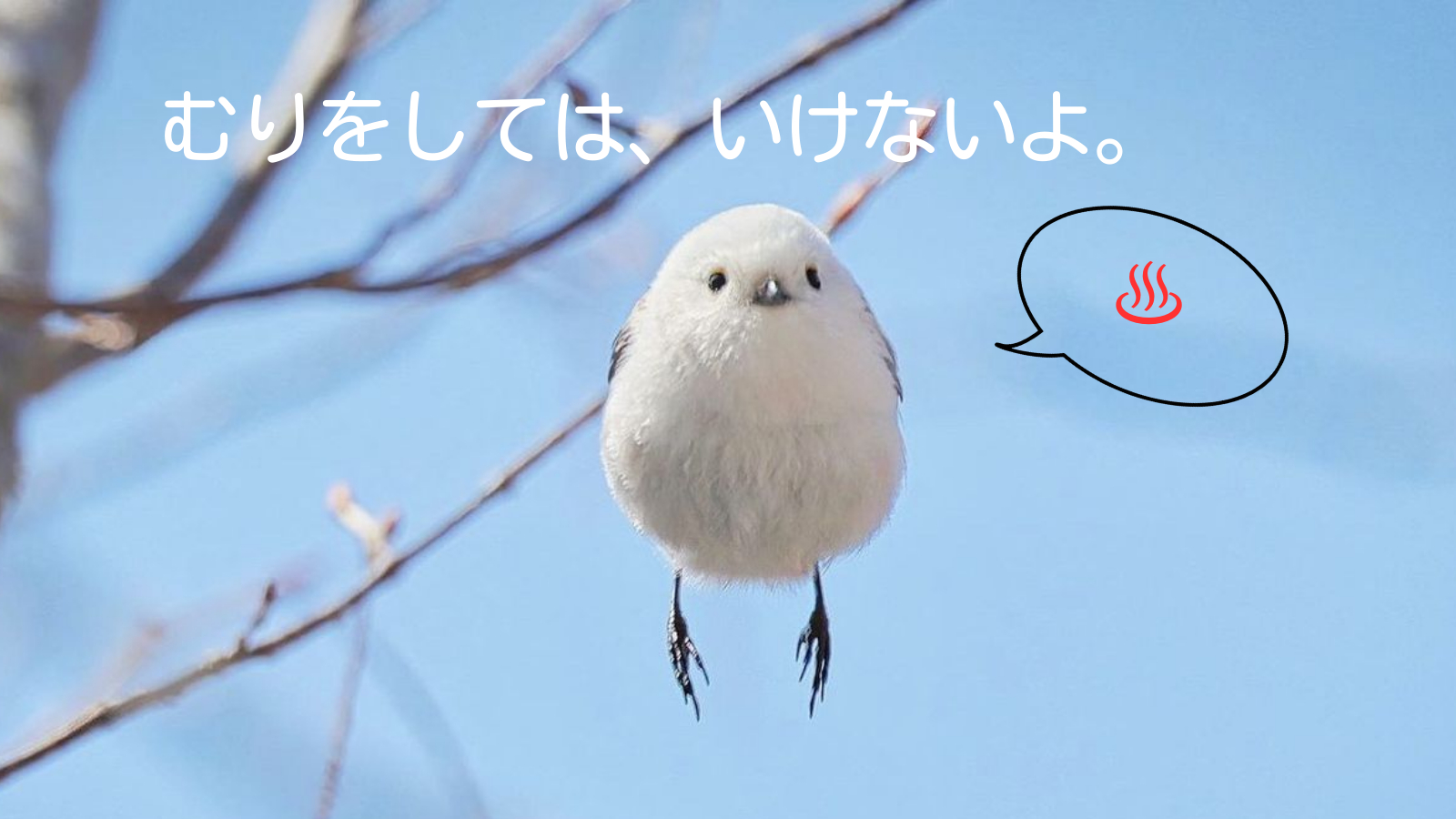 お兄さん、お姉さん、気分はどう？大丈夫かな②.png