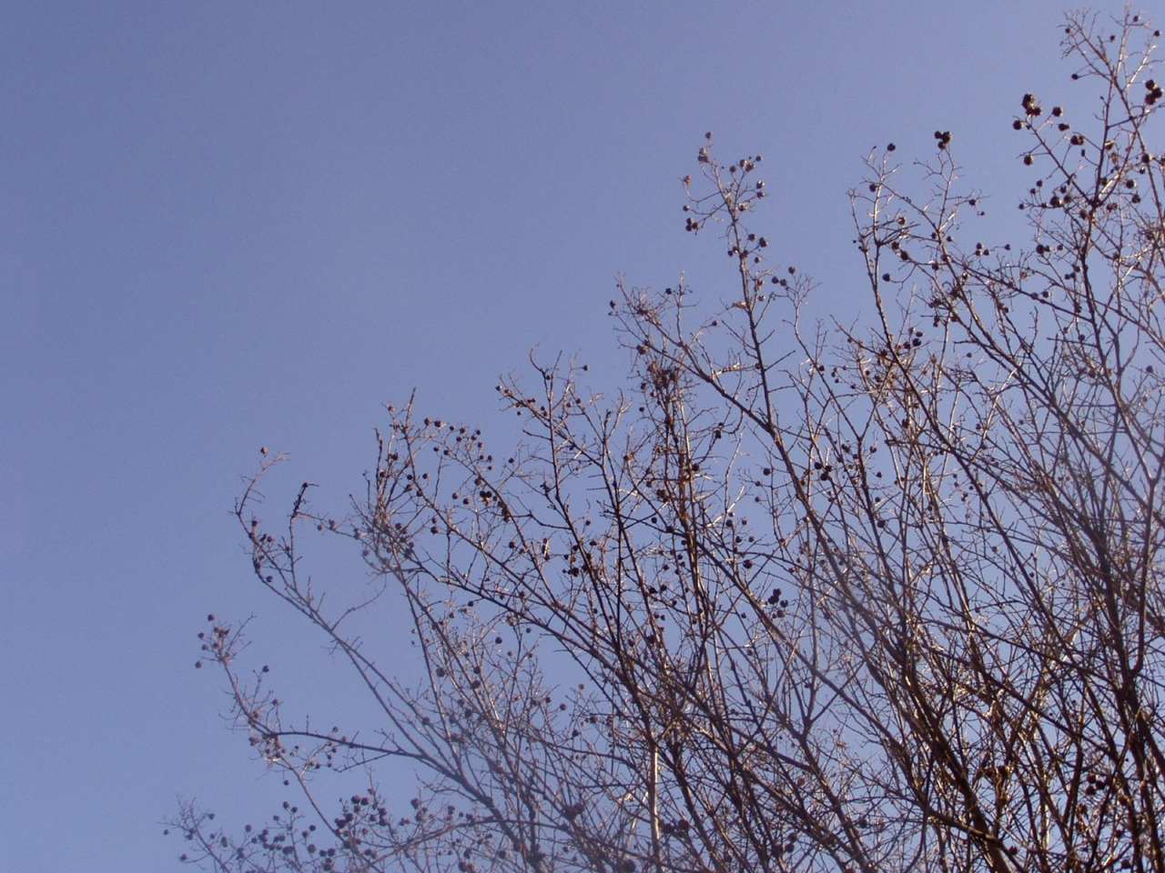 P1010012.JPG