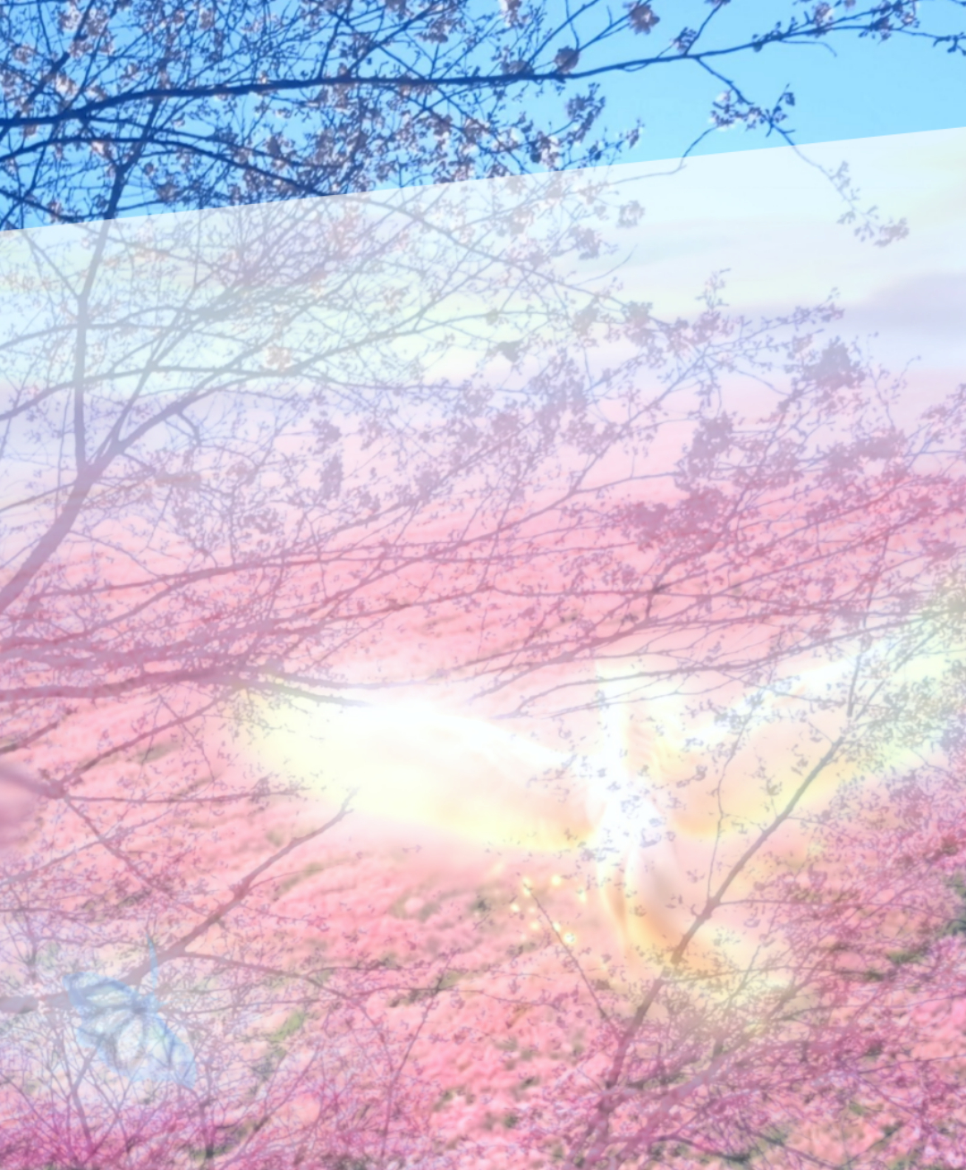 sketch-1774396251644.png