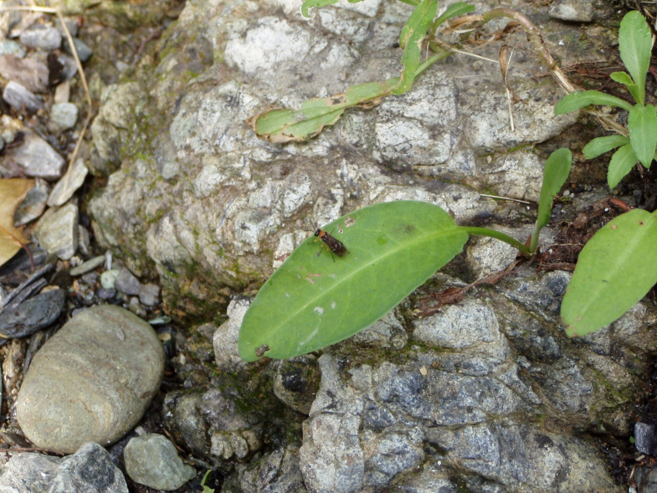P1010030.JPG